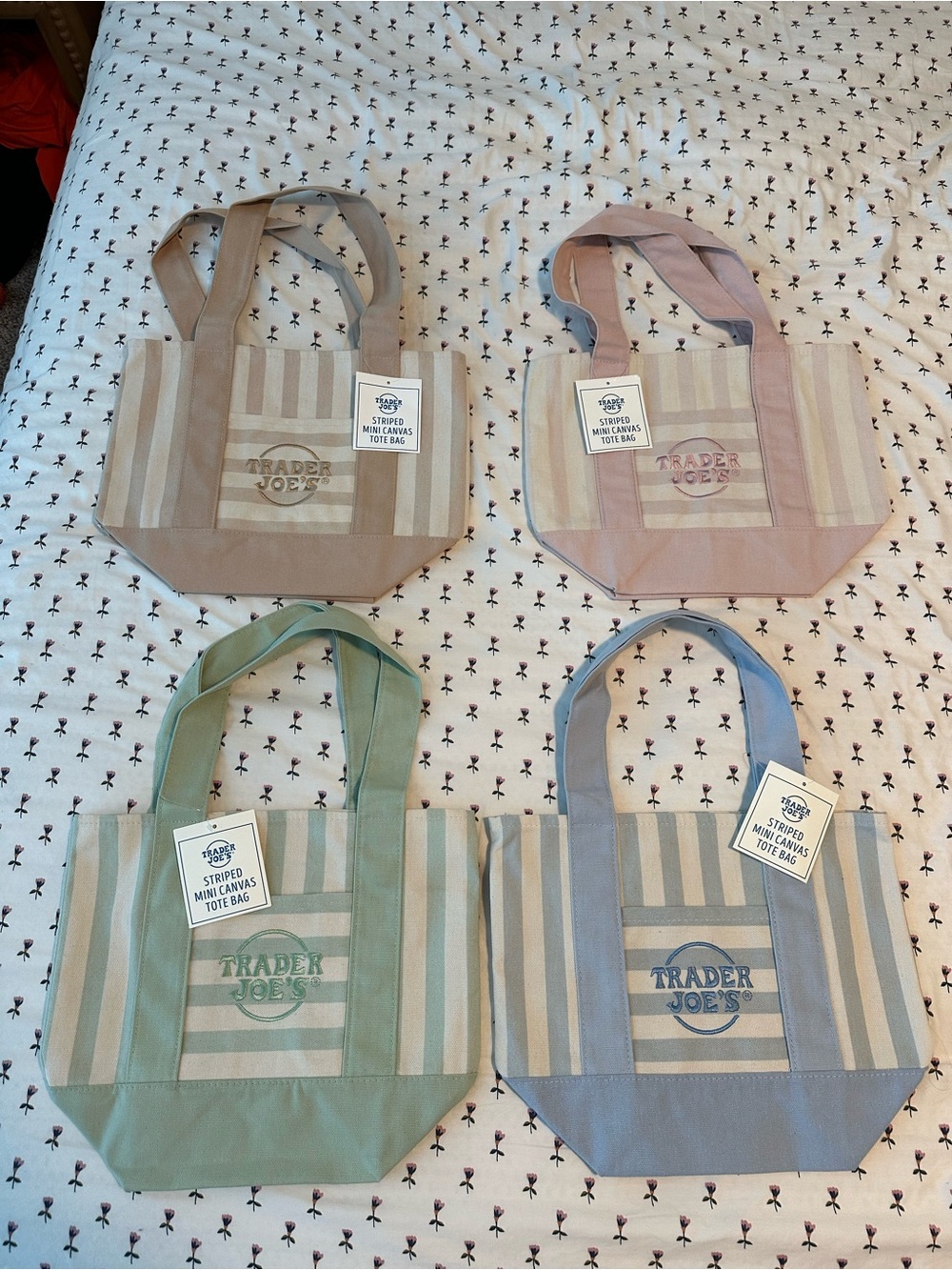 Trader Joe's Striped Mini Canvas Tote - Blue